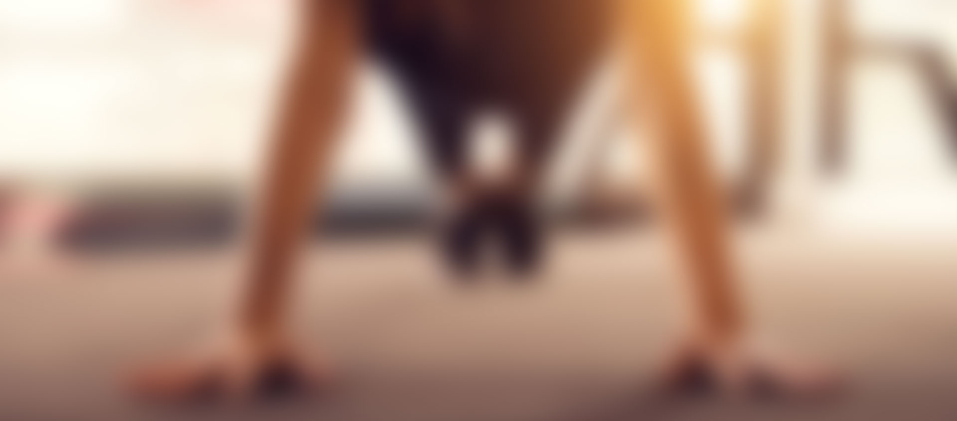 sofiespthalsa_header